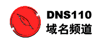 域名频道DNS110怎么样