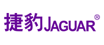 空压机行业排行榜第5名 | 捷豹Jaguar