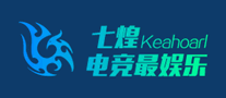 安控Etrol怎么样
