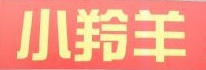 电动车行业排行榜第1名 | 小羚羊电动车