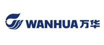 材料行业排行榜第3名 | WANHUA万华