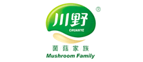 川野怎么样