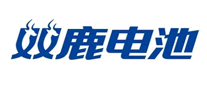 充电电池行业排行榜第10名 | 双鹿